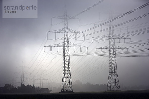 Hochspannungsmasten  Stromleitungen  im herbstlichen Nebel  Gelsenkirchen  Nordrhein-Westfalen  Deutschland  Europa