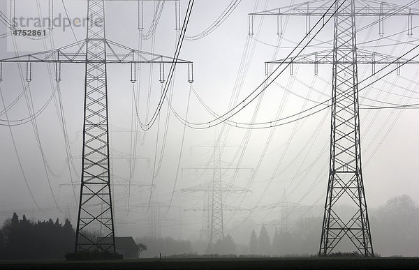 Hochspannungsmasten  Stromleitungen  im herbstlichen Nebel  Gelsenkirchen  Nordrhein-Westfalen  Deutschland  Europa