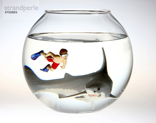 Spielzeugfiguren  Haifisch und ein Junge der mit Taucherbrille und Flossen in einem Goldfischglas taucht