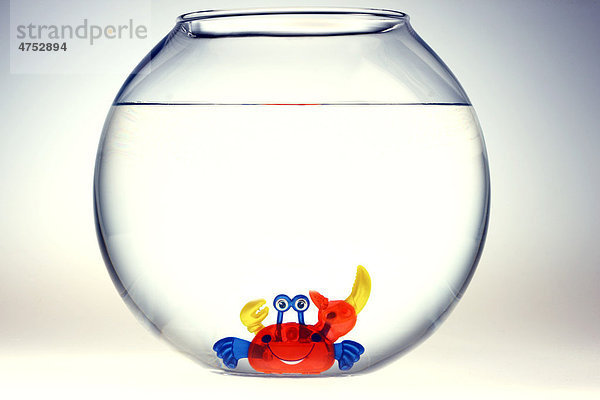 Aufziehbare Spielzeugfigur  freundlich grinsender Krebs  Krabbe  in einem Goldfischglas  Illustration