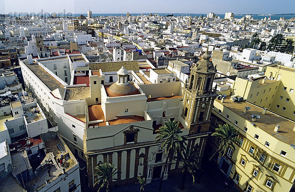 Altstadt von C·diz  Blick vom Torre Poniente  Costa de la Luz  Andalusien  Spanien  Europa