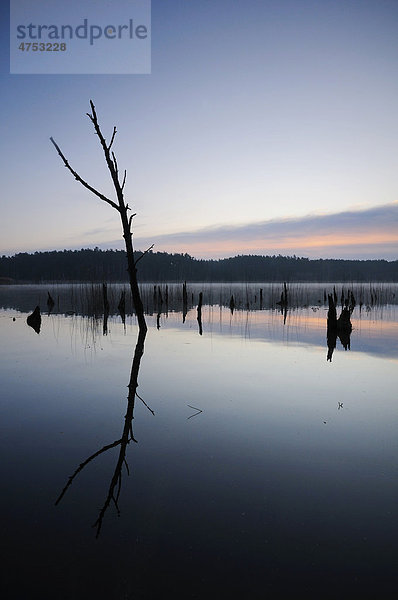 Sonnenaufgang an einem See im Müritz-Nationalpark  Mecklenburg-Vorpommern  Deutschland  Europa
