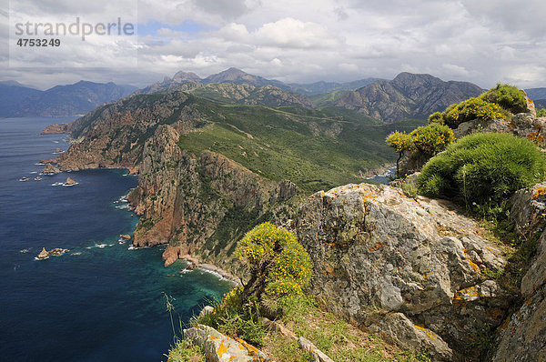 Küste der Halbinsel Capu Rosso  Korsika  Frankreich  Europa
