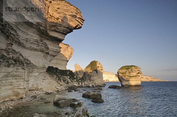 Steilküste aus weißem Kalkstein bei Bonifacio  Bunifaziu  Korsika  Frankreich  Europa