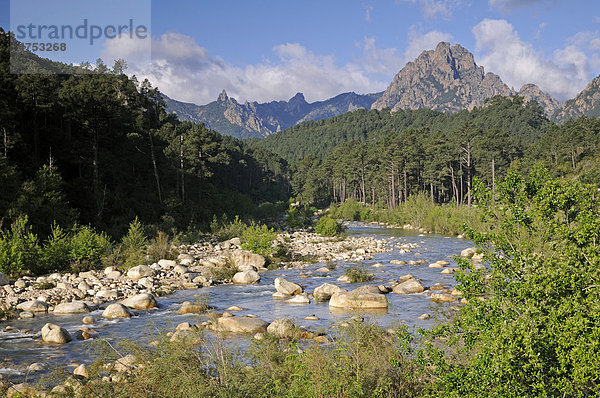 Solenzara Schlucht  Korsika  Frankreich  Europa