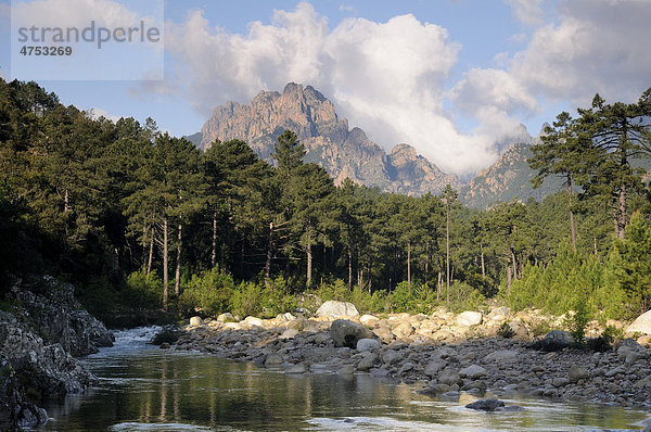 Solenzara Schlucht  Korsika  Frankreich  Europa