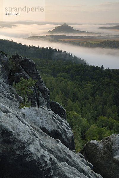 Nebel über der Elbe  Sächsische Schweiz  Sachsen  Deutschland  Europa