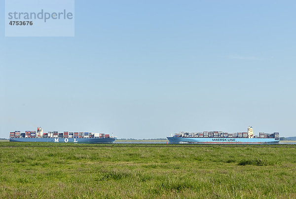 Begegnung zweier Containerschiffe auf der Unterelbe  Kreis Dithmarschen  Schleswig-Holstein  Deutschland  Europa