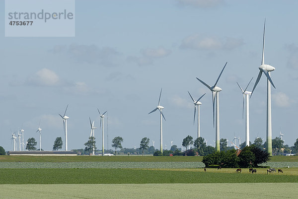 Windkraftnutzung in Dithmarschen  Schleswig-Holstein  Deutschland  Europa