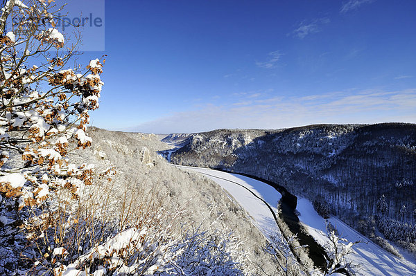 Blick in das obere Donautal im Winter  Landkreis Sigmaringen  Baden-Württemberg  Deutschland  Europa