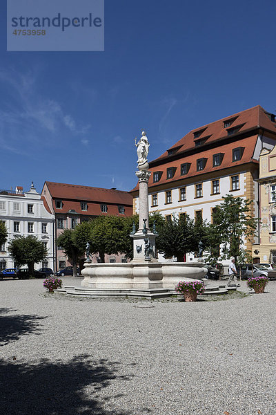 Karlsplatz mit Marienbrunnen  Neuburg an der Donau  Bayern  Deutschland  Europa