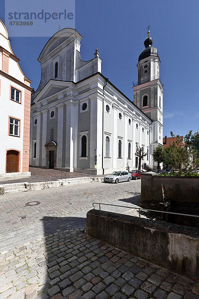 Die Pfarrkirche St. Peter  Neuburg an der Donau  Bayern  Deutschland  Europa