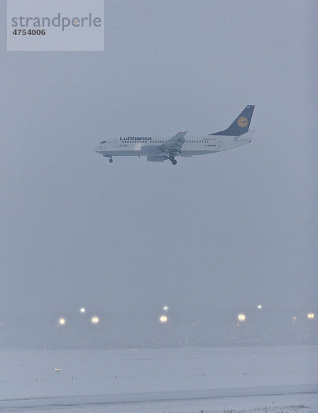 Eine Maschine der Lufthansa landet bei starkem Schneetreiben am Frankfurter Flughafen  Flughafen Frankfurt  Hessen  Deutschland  Europa