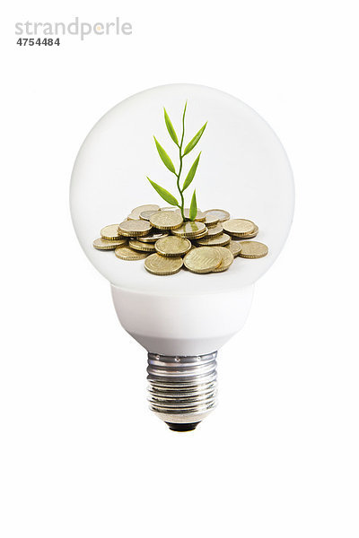 Energiesparlampe mit Geldstücken und wachsender Pflanze  Symbolbild für Stromsparen