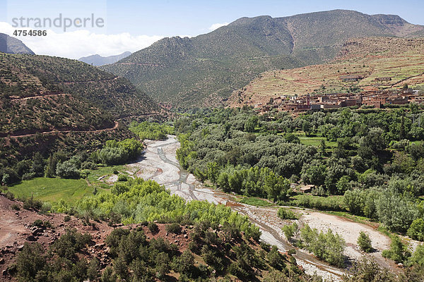 Tal des Flusses Oued Zad in der Nähel von Tighoudine  Schwertlilien-Anbau (Iris germanica)  Region Ait Inzel Gebel  Atlas Gebirge  Marokko  Afrika