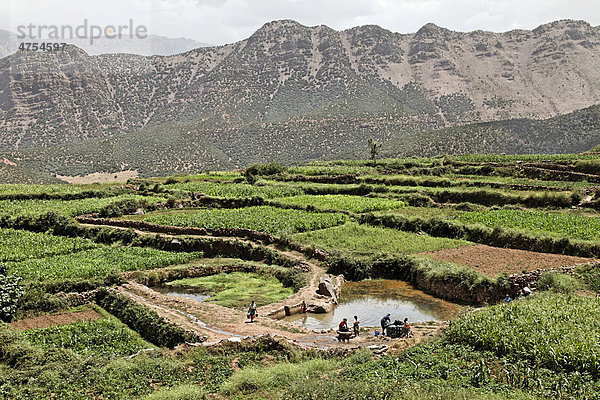 Eine Gruppe weiblicher Bewohner des Dorfes Iwasoudane wäscht ihre Kleider in einem Wasserbecken zwischen terrassierten Feldern  Region Ait Inzel Gebel  Atlas Gebirge  Marokko  Afrika