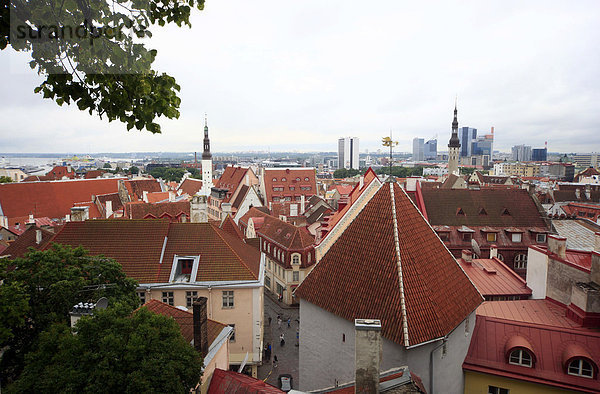 Blick über Tallinn  Estland  Baltikum  Europa
