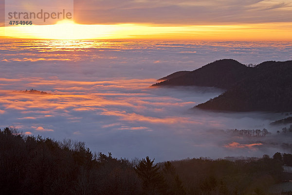 Sonnenaufgang mit rotem Nebelmeer und Hügel  Steiermark  Österreich  Europa