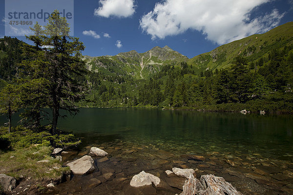 Berg und grüner See mit Baum  Scheibelsee  Steiermark  Österreich  Europa