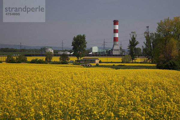 Industrieanlage mit Schornstein umgeben von einem gelb blühenden Rapsfeld  Ungarn  Europa