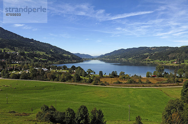 Blick auf den Alpsee  links der Luftkurort Bühl  Bühl  Bayern  Deutschland  Europa