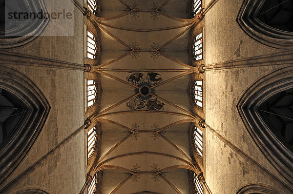 Detail des gotischen Deckengewölbes vom Ulmer Münster  Münsterplatz  Ulm  Baden-Württemberg  Deutschland  Europa