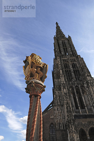 Säule mit Löwen und dem Ulmer Wappen  rechts der Ulmer Münster  Münsterplatz  Ulm  Baden-Württemberg  Deutschland  Europa