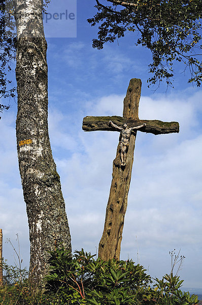 Verwitterte Christusfigur an einem alten Baumkreuz neben einer Birke  Kreuzleshöhe  Krummen-Kreuzthal  Baden-Württemberg  Deutschland  Europa