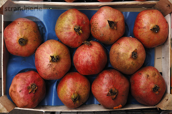 Granatäpfel (Punica granatum)  in einer Kiste