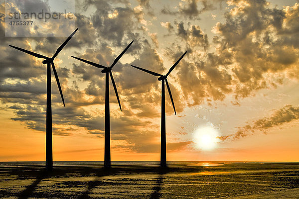 Drei Windturbinen oder Windkraftanlagen bei Sonnenuntergang  Dänemark  Europa