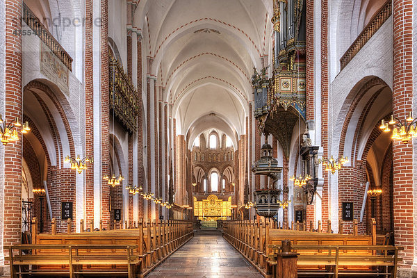 Kathedrale von Roskilde  Roskilde  Dänemark  Europa