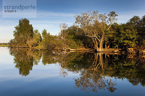Feuchtgebiet bzw. Lagune von Yellow Water  Kakadu Nationalpark  Northern Territory  Australien