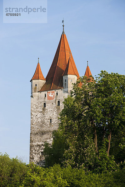 Burganlage von Haag  Oberbayern  Bayern  Deutschland  Europa
