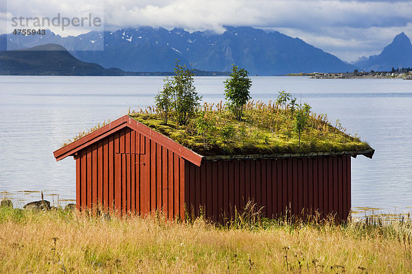 Sortland  Insel Langoya  Vesteralen  Norwegen  Skandinavien  Europa