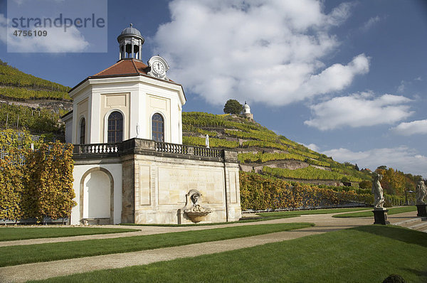 Belvedere von Schloss Wackerbarth im Weinberg mit Jacobstein  Herbst  Radebeul  Sachsen  Deutschland  Europa