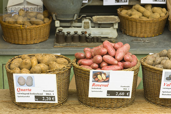Kartoffeln auf dem Viktualienmarkt im Bezirk Altstadt-Lehel  München  Bayern  Deutschland  Europa