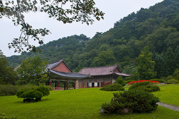 Buddhistischer Pohyon-Tempel am Berg Myohyang-san  Nordkorea  Asien