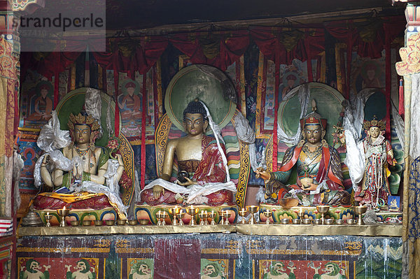 Tibetischer Buddhismus  heilige Buddhastatuen im Kloster Zutul Puk Gompa  Pilgerweg um den heiligen Berg Kailash  Gang Rinpoche  Kora  Ngari  Gang-Tise-Gebirge  Transhimalaja  Himalaja  Westtibet  Autonomes Gebiet Tibet  Volksrepublik China  Asien