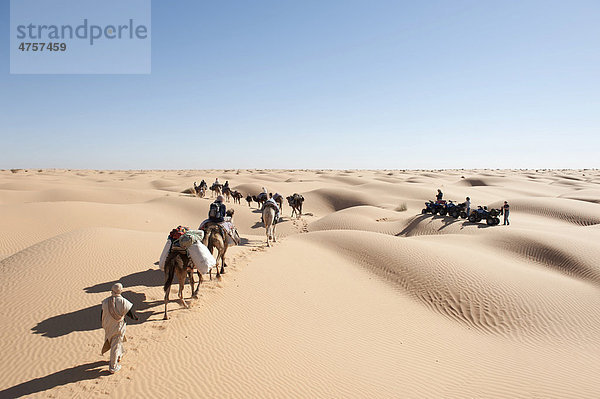 Sanfter nachhaltiger Tourismus  Karawane  Kameltrekking trifft auf Gruppe mit Quads  Kamele  Dromedare (Camelus dromedarius)  Sanddünen  Wüste Sahara zwischen Douz und Ksar Ghilane  Südtunesien  Tunesien  Maghreb  Nordafrika  Afrika