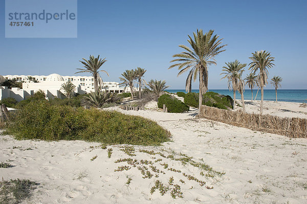 Einsames Strandhotel  Palmen und Meer  Insel Djerba  Tunesien  Maghreb  Nordafrika  Afrika