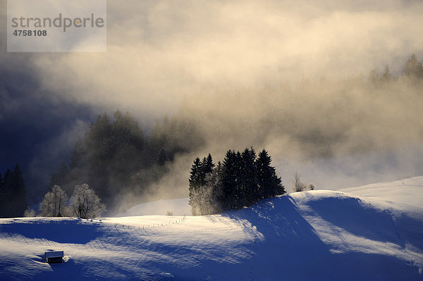 Nebelschwaden über Bergwiese  Sonthofen  Allgäu  Bayern  Deutschland  Europa