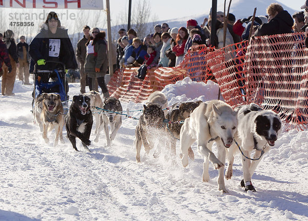 Musher Hugh Neff  der schon am Yukon Quest Hundeschlittenrennen und am Iditarod Hundeschlittenrennen teilgenommen hat  Hundeschlittenrennen  Mushing  rennende Schlittenhunde  Alaskan Huskys  Hundegespann  Start des Road Runner 100 Hundeschlittenrennens  Whitehorse  Yukon Territorium  Kanada