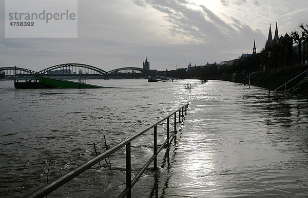Hochwasser  Januar 2011  Köln  Rhein  Nordrhein-Westfalen  Deutschland  Europa