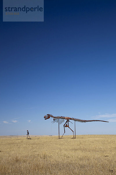 Das Skelett eines Menschen und das Skelett eines Dinosauriers auf einer Grasebene in Süddakota  Stamford  South Dakota  Süddakota  USA