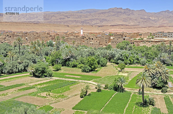 Teilweise verfallene Häuser in der Oasenstadt Tinerhir  Region Souss-Massa-Dara‚  Marokko  Afrika