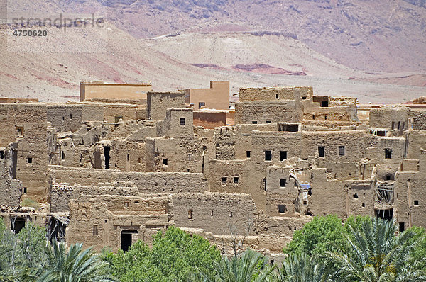 Teilweise verfallene Häuser in der Oasenstadt Tinerhir  Region Souss-Massa-Dara‚  Marokko  Afrika