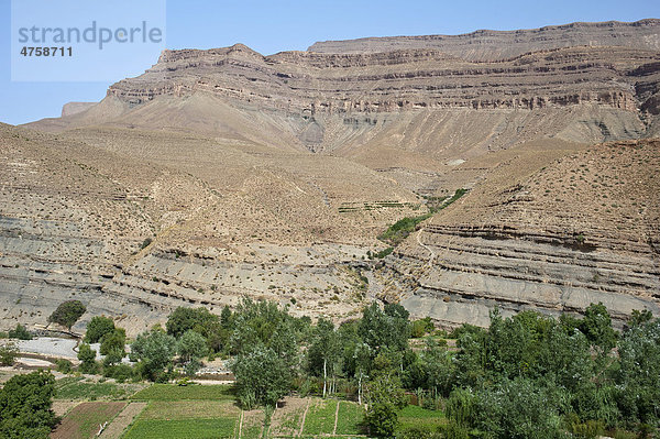 Berge  Schichtstufenlandschaft mit kleinen Feldern im Flusstal  Hoher Atlas  Dadestal  Marokko  Afrika