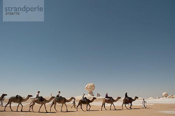 Karawane vor Kalkformationen im Nationalpark Weiße Wüste  Libysche Wüste  Sahara  Ägypten  Nordafrika  Afrika