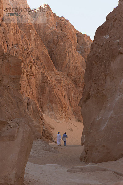 Wanderung durch den White Canyon  Panorama  Sinai  Ägypten  Nordafrika  Afrika