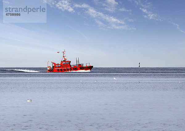 Rotes Lotsenboot Pilot  Spodsbjerg  Langeland  Dänemark  Europa